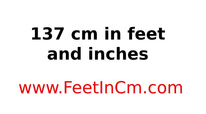 137cm in feet