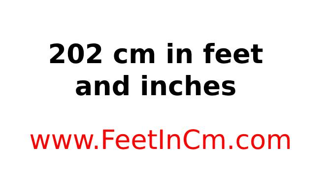 202 Cm In Feet And Inches 
