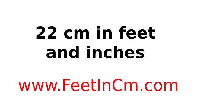 22 cm in inches and feet