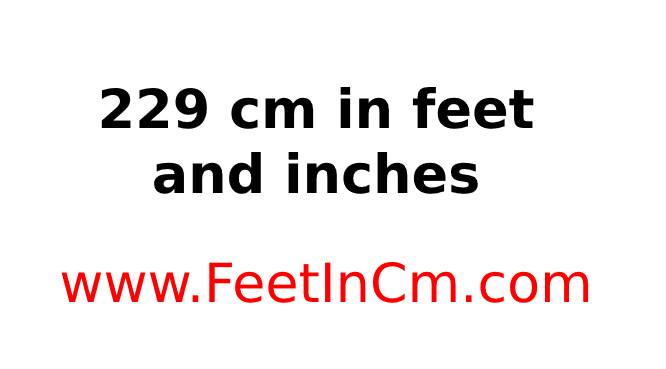 229cm in feet