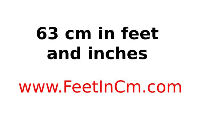 63 cm to inches and feet