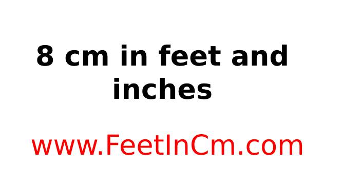 8cm in feet